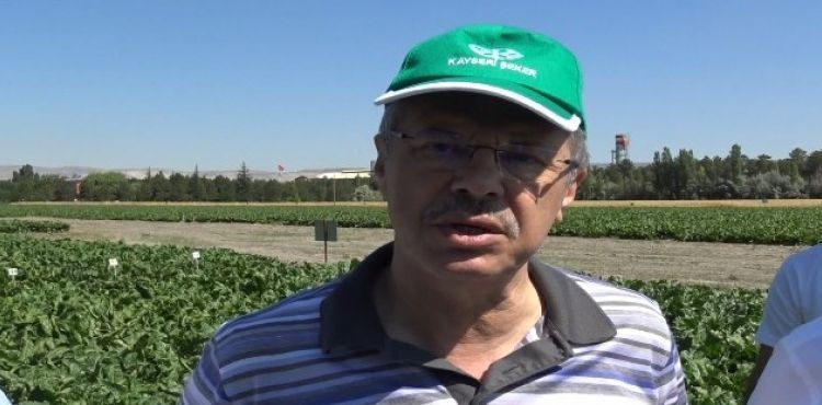 Kayseri Şeker, pancar tarımında damlama sulama sistemini yaygınlaştırıyor