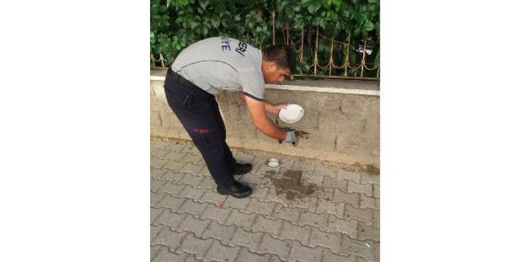 Aracın motor kısmına giren yavru kediyi itfaiye ekipleri çıkardı
