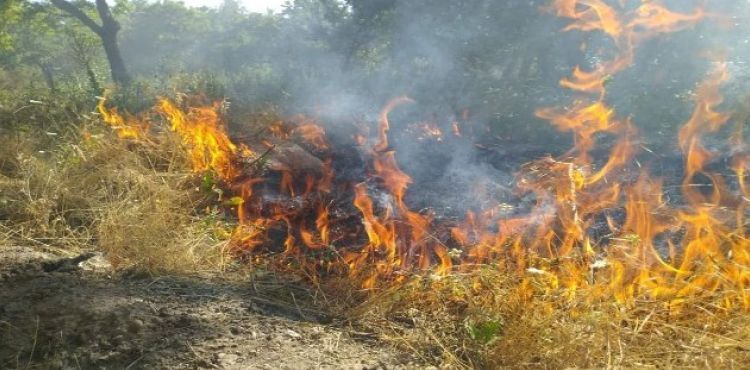 Develi'deki tarla yangınını itfaiye ekipleri söndürdü