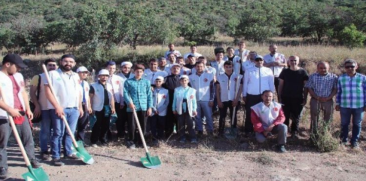 Ali Dağı'nda ağaçlandırma çalışmaları sürüyor