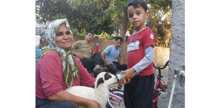 Annesi ölen kuzuyu biberonla besliyor