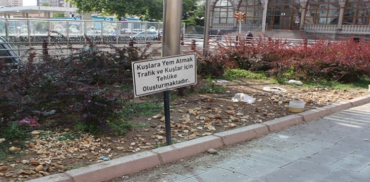 Atmayın Dedikçe…