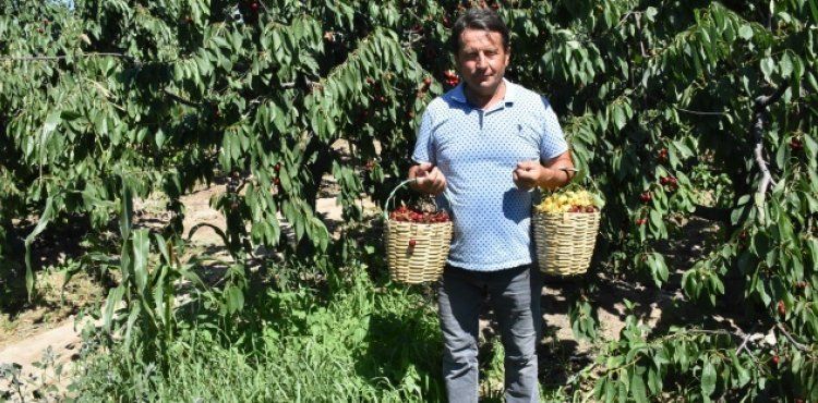 Emekli oldu, seracılık okudu, bahçe kurdu