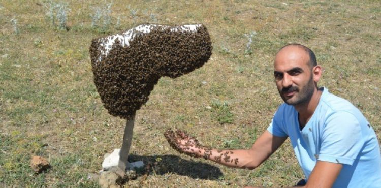 Kanser hastas olunu bal ile tedavi eden baba, arcl meslek edindi