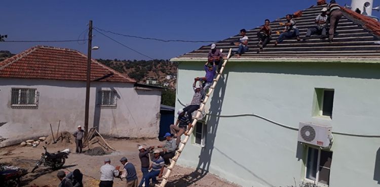 Karıncaları örnek alan köylüler sorunu yarım saatte çözdü