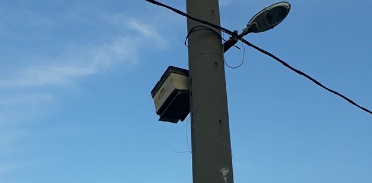 Elektrik direğine sabitlenen arı kovanı