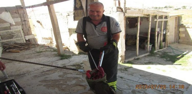 Eve giren yılanı itfaiye çıkardı