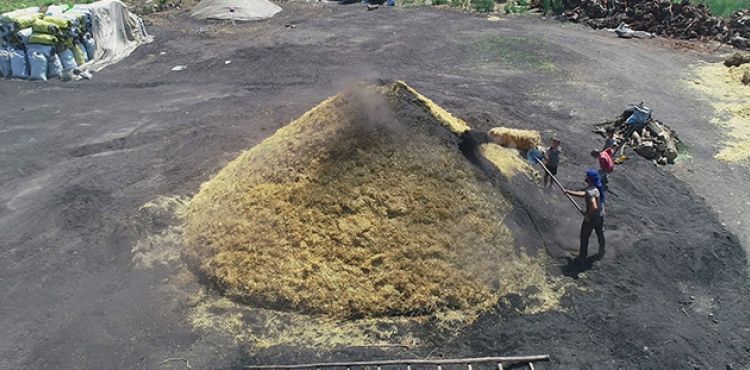 Ateşten ekmek parası