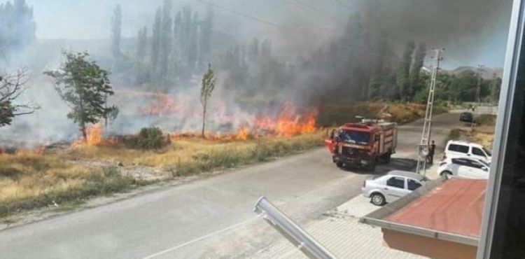 Develi'de bağ yangını