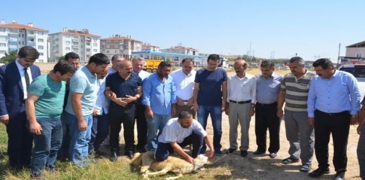 Bünyan'da Kurban Kesim Kursu Açıldı