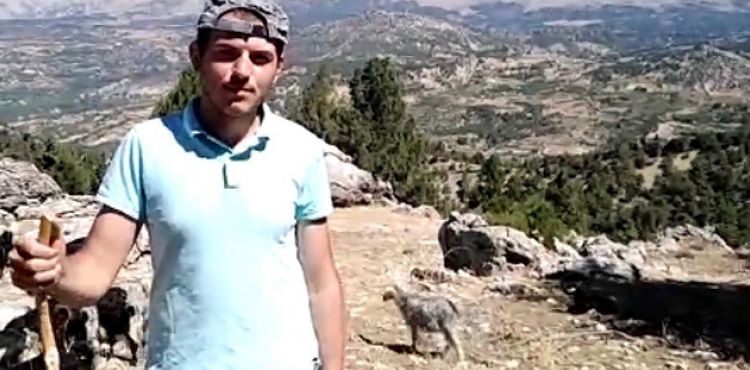 Çobanlık yaparak üniversiteye hazırlandı 536,84 puan aldı