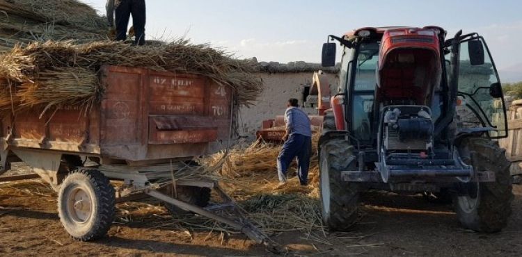 Hayvanların kışlık yiyecekleri zahmetler içinde hazırlanıyor