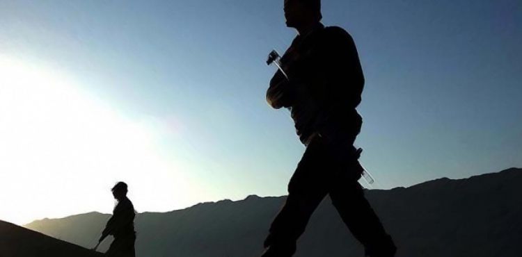 Şırnak'ta 2 terörist silahlarıyla etkisiz hale getirildi