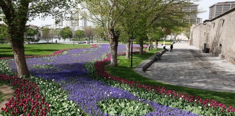 Büyükşehir Belediyesi, 1 milyon 910 bin 786 adet çiçek dikti