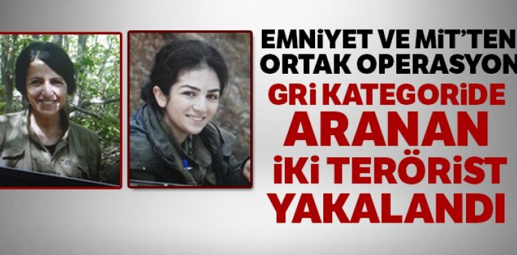 Gri kategoride aranan iki terörist yakalandı