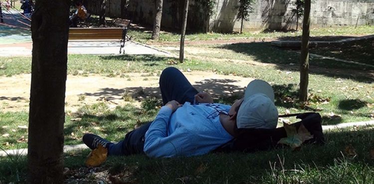 Doğu'da hava sıcaklığı mevsim normallerinde seyredecek