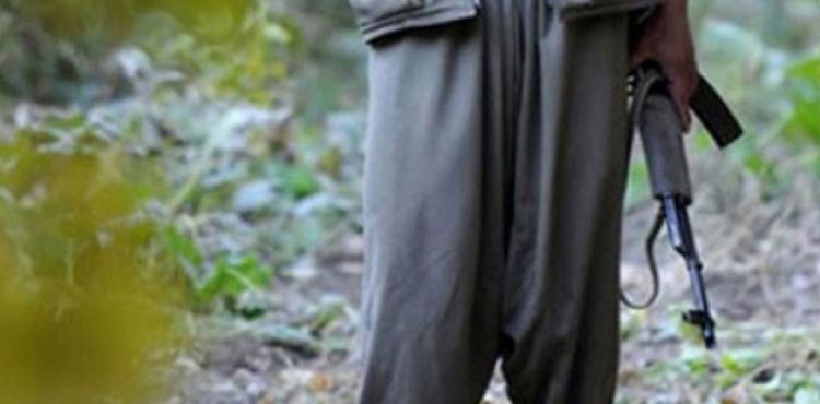 MİT ve jandarmadan ortak operasyon! PKK'lı terörist etkisiz hale getirildi