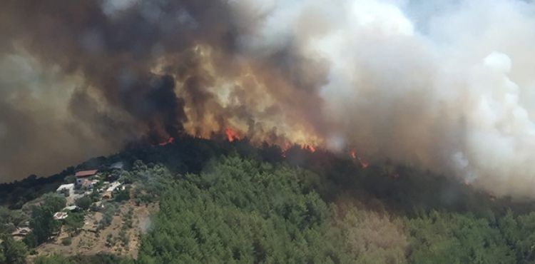 Bodrum'daki yangın 6 saat sonra söndürüldü