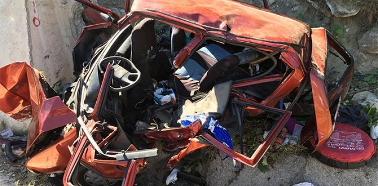Yol kenarında mola veren aileye otomobil çarptı: 1 ölü, 10 yaralı