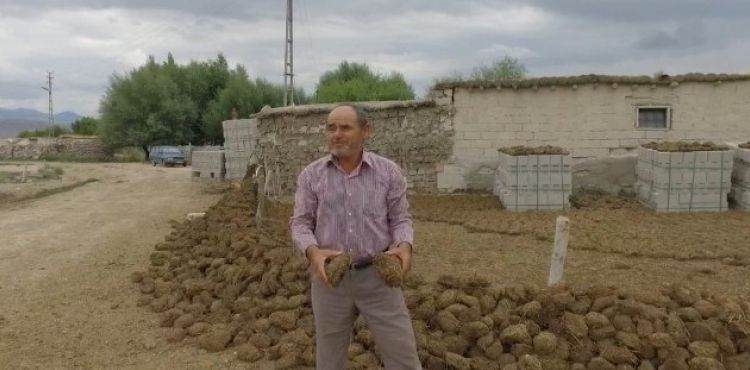 Anadolu'nun doğal gazı: Tezek