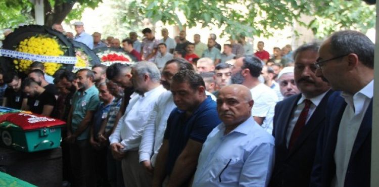 Büyüknalbant ailesinin acı günü