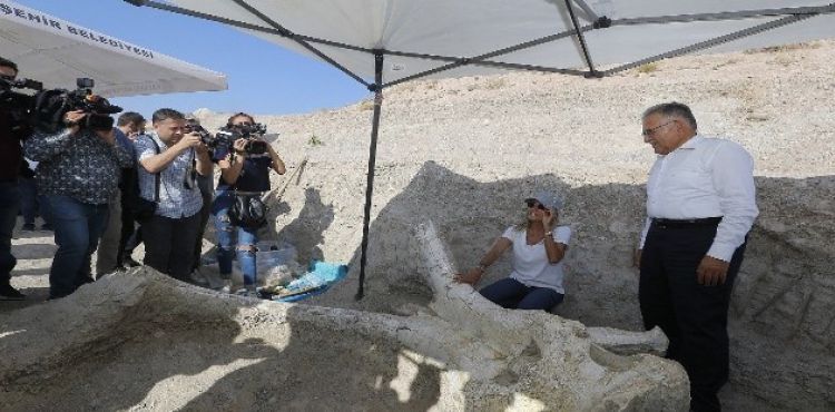 7,5 milyon yıl önce filler ve zürafaların olduğu Kayseri'nin tarihi yeniden yazılacak