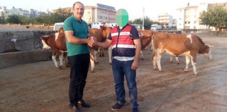 Jandarma ekipleri besicinin 20 yıllık birikimini kurtardı