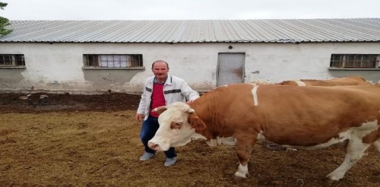 Çalınan hayvanları bulunan çiftçi Ahmet Kuramaz: