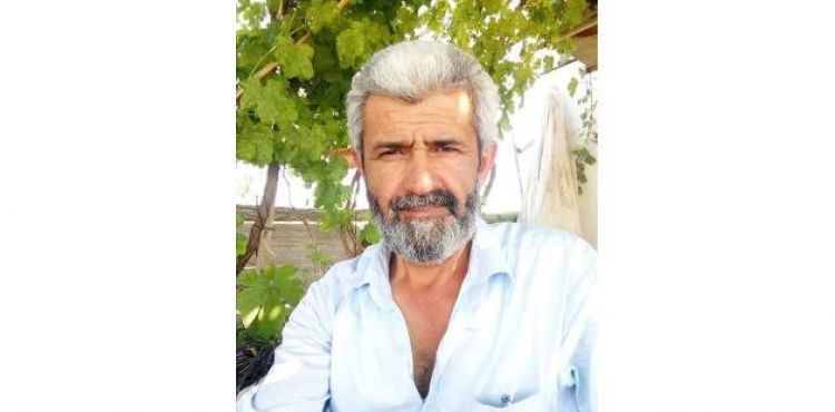Ceviz çırparken ağaçtan düşüp öldü