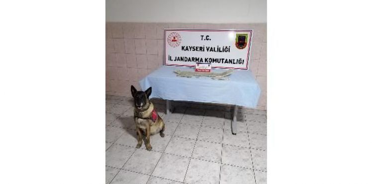 Jandarmadan uyuşturucu operasyonu