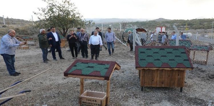 ‘Pati Köy' açılıyor