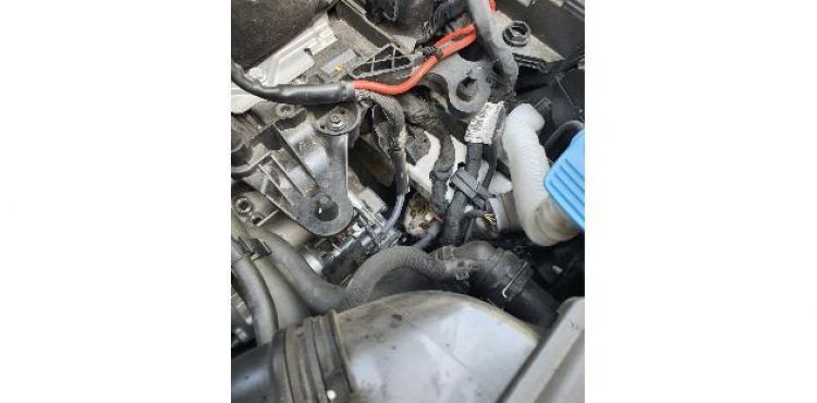 Otomobilin motor kısmına sıkışan yavru kediyi itfaiye kurtardı.