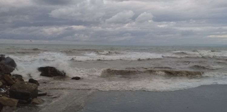 Karadeniz kabardı, dalgalar sahili kapladı