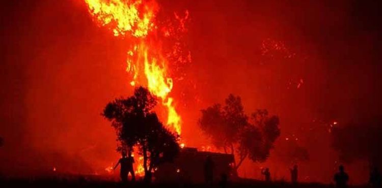Çanakkale'de 2019 yılında 52 orman yangını çıktı