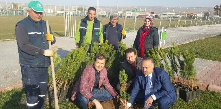 Kayseri eker, 'Bu gn fidan yarn nefes' kampanyasna 5 bin fidan ile katld.