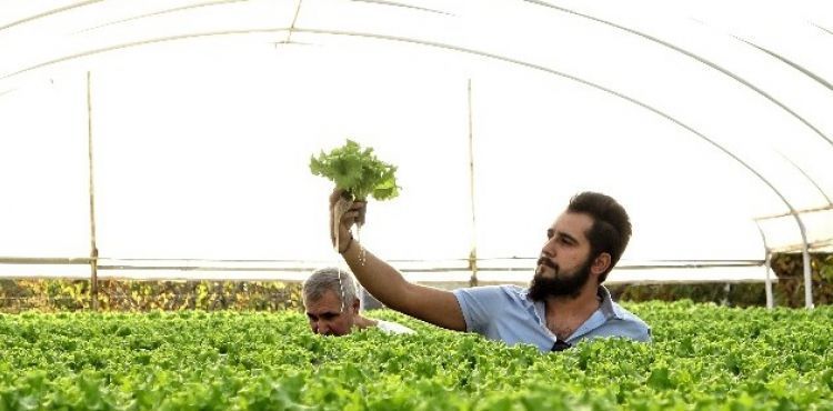 Suyun içinde üretti, 12 ay satıyor