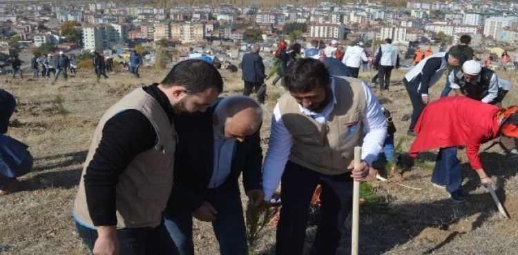 Beşir Derneği, Develi'deki Fidan Dikim Etkinliği'ne Katıldı.