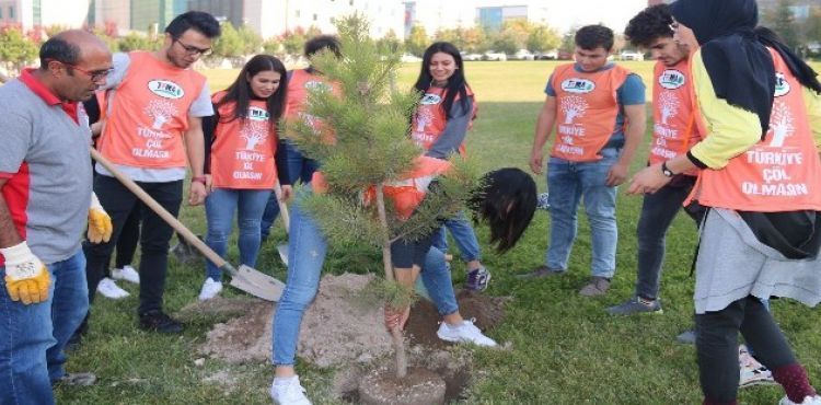 KAYÜ, “Geleceğe Nefes Ol” Fidan Dikme Kampanyasına Destek Verdi.