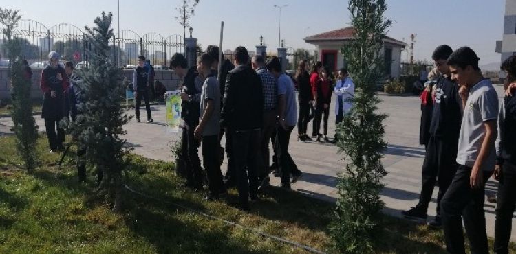 Öğrenciler okullarının bahçesini ağaçlandırdı