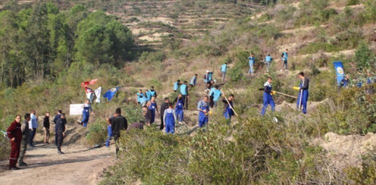 Ünlü sanatçılar 11 milyon fidan klibinde buluştu