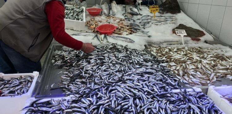 Karadeniz'de hamsi yeniden yükselişte