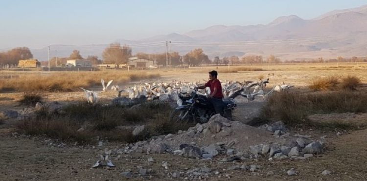 13 yldr kurulan dostluk grenleri artyor