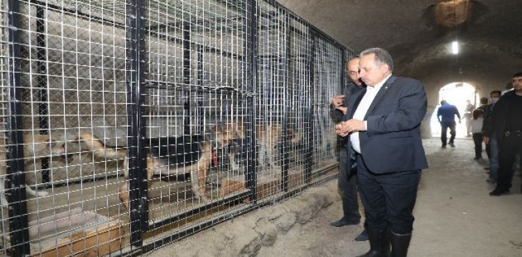 Başkan Yalçın sevimli dostlarla