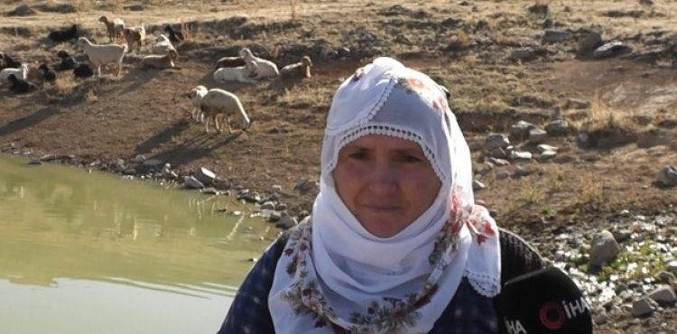 Köylüler, Ayvazhacı'daki gölde hobi amaçlı balık besliyor