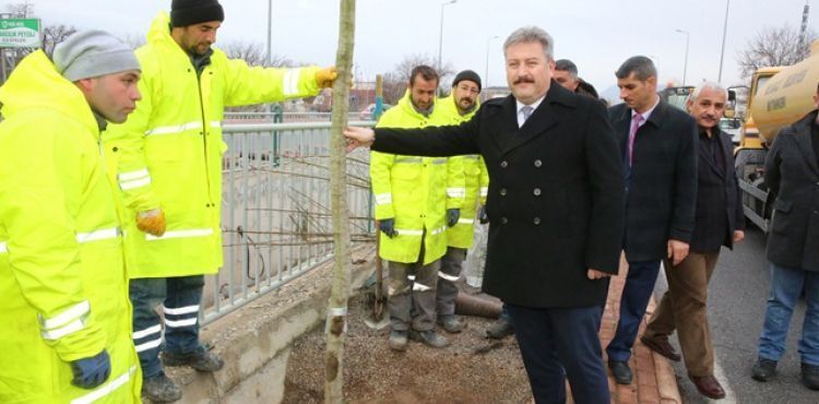 MELİKGAZİ AĞAÇLANDIRMADA 15 YIL ÖNE GEÇTİ