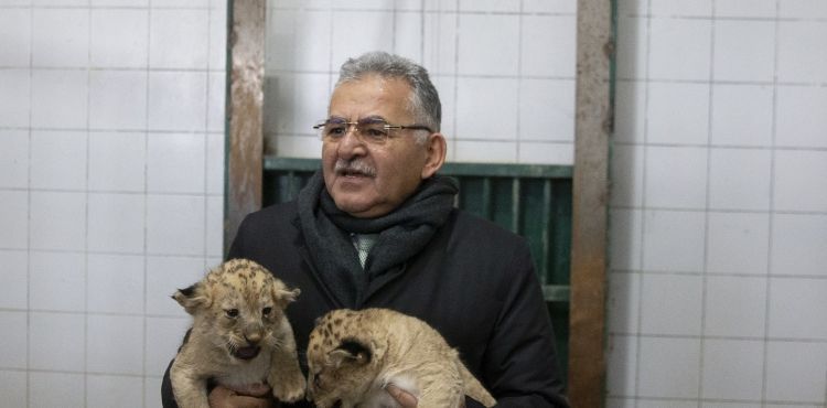 ki aslan yavrusuna ziyaretiler isim verecek