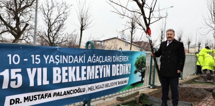 2020 YILI AĞAÇLANDIRMA VE YEŞİLLENDİRME YILI OLACAK