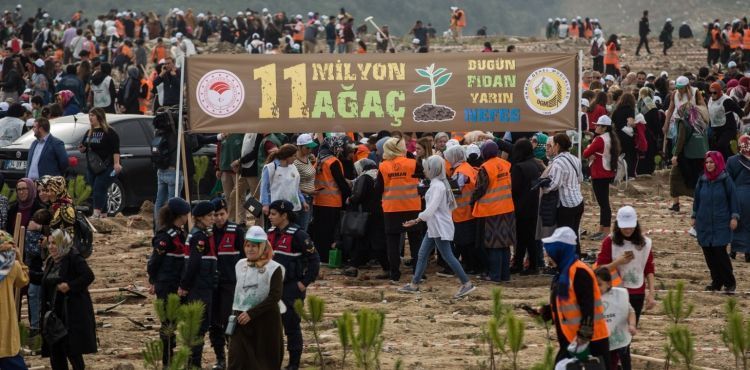 Bakanlık açıkladı: 11 milyon fidanın yüzde 95'i tuttu