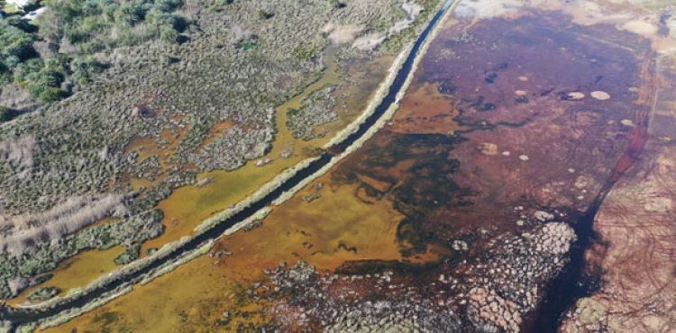 Bodrum'daki 'Akdeniz Gölü' yok olmaya başladı