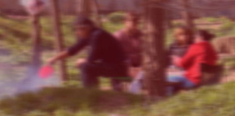 Bakan Pakdemirli: Park ve bahçelerde mangal yakılması yasaklanmıştır